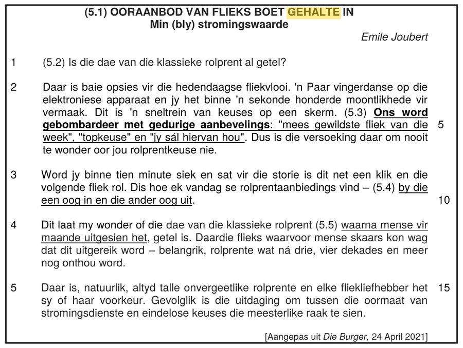 Article about too many streaming films lowering film quality, Afrikaans HL Grade 12 NSC May/June 2023 Paper 1 Question 5.1