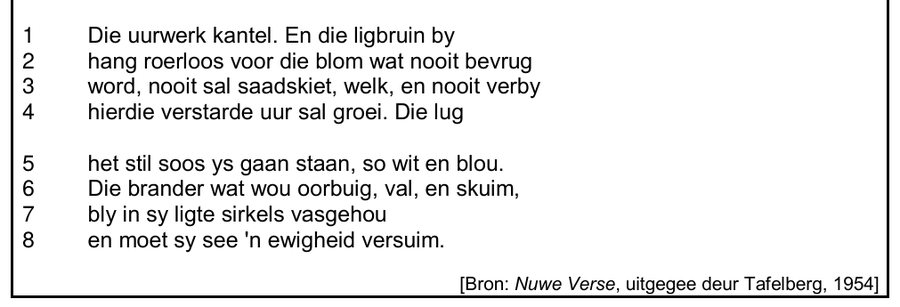 Poem about a frozen moment with a bee and a wave, Afrikaans HL Grade 12 NSC November 2024 Paper 2 Question 4.2