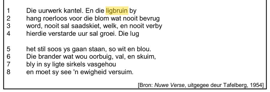 Poem about a frozen moment in time with one word highlighted, Afrikaans HL Grade 12 NSC November 2024 Paper 2 Question 4.6