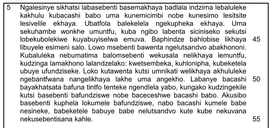 Reading passage about the skills and value of domestic workers, Siswati HL Grade 12 NSC May/June 2025 Paper 1 Question 1.1.7