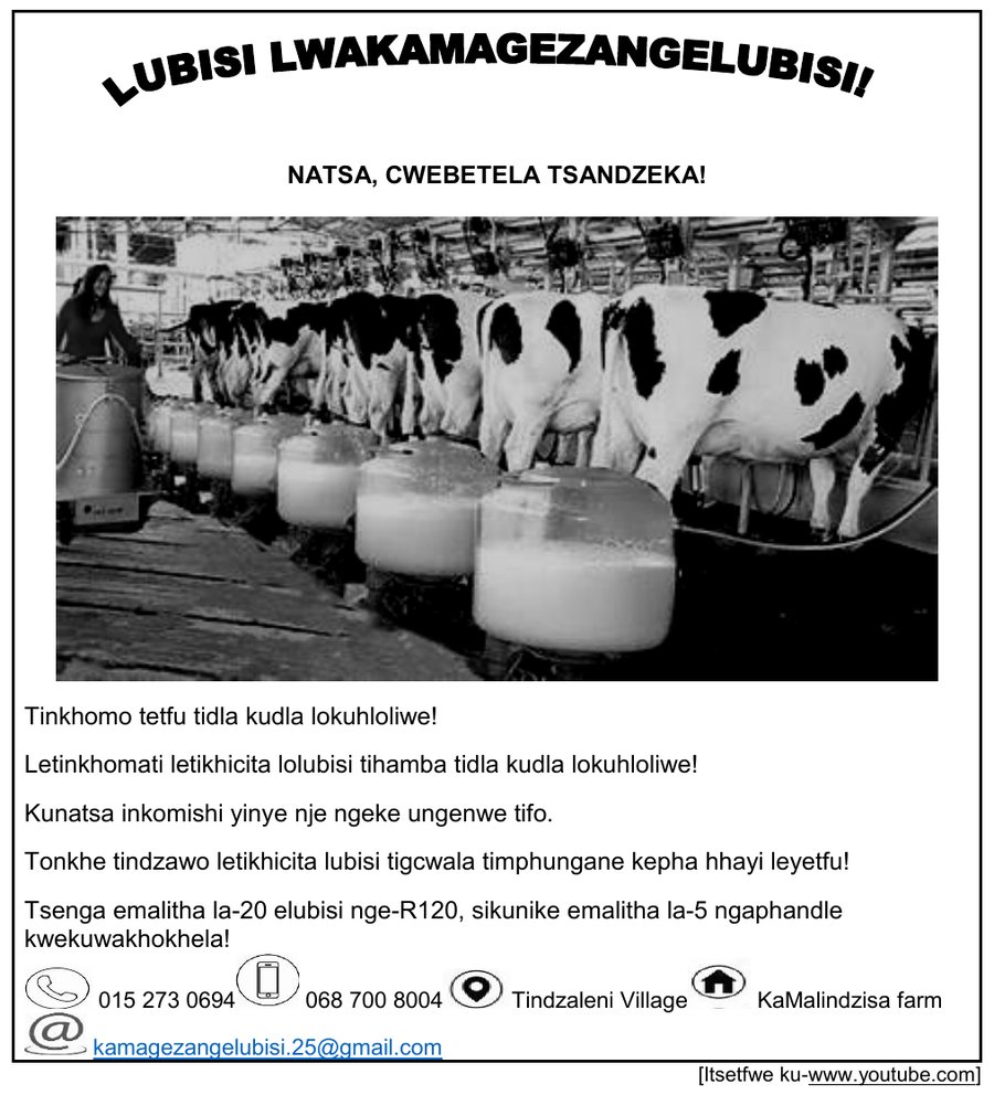 Advertisement for fresh farm milk with dairy cows being milked, Siswati HL Grade 12 NSC November 2025 Paper 1 Question 3.1