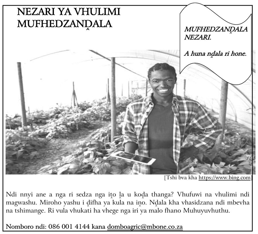 Advertisement for a vegetable nursery with a young farmer in a greenhouse, Tshivenda HL Grade 12 NSC November 2024 Paper 1 Question 3.3