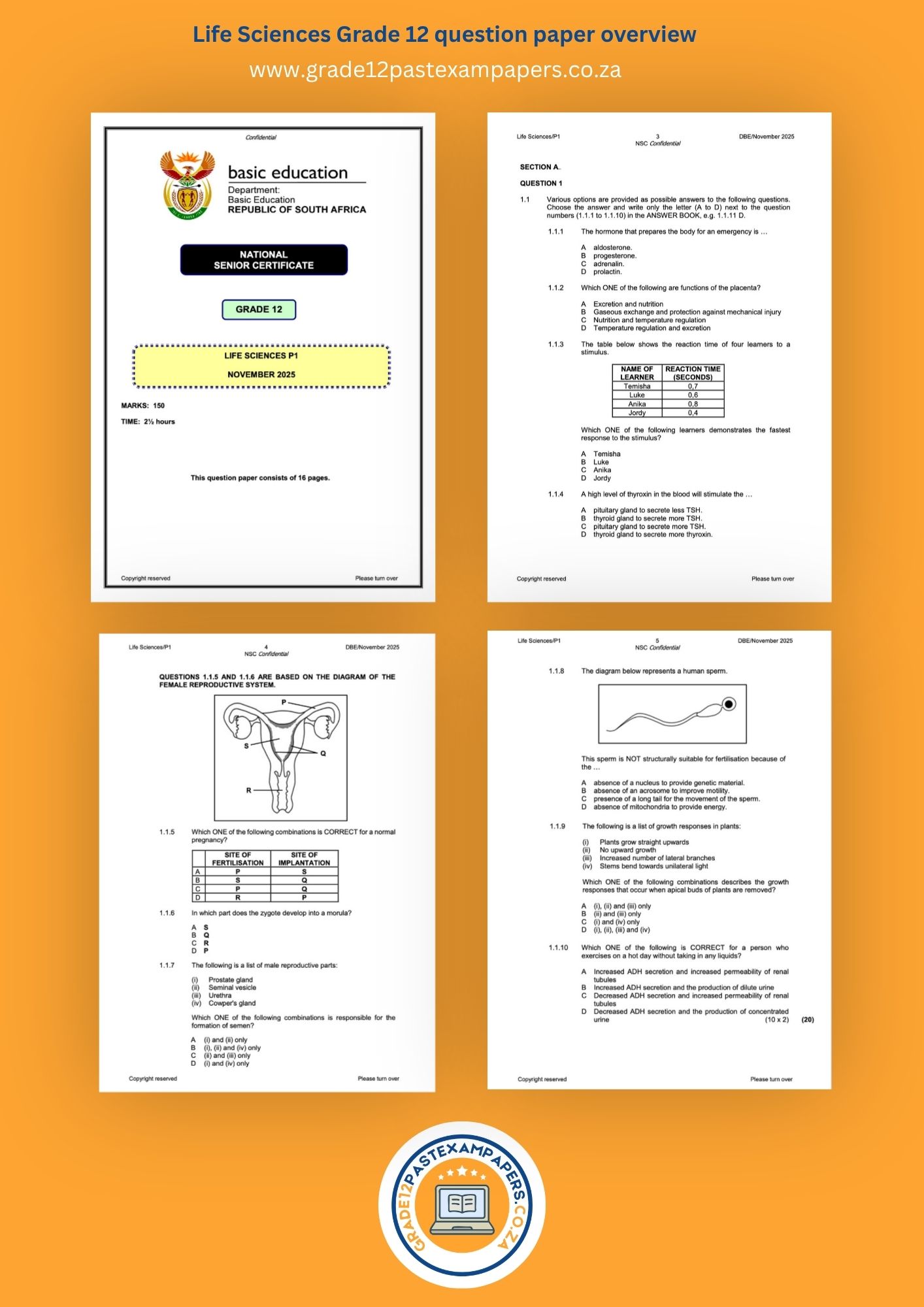 An overview collage image showing the cover page and question layout of selected sections of Grade 12 Life Sciences past exam papers.
